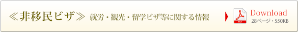 ≪非移民ビザ≫就労・観光・留学ビザ等関する情報 （22ページ・189KB）</a></p>