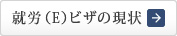 就労（E）ビザの現状