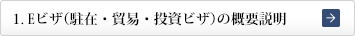 1. Eビザ（駐在・貿易・投資ビザ）の概要説明