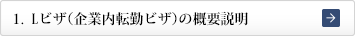 1. Eビザ（駐在・貿易・投資ビザ）の概要説明