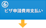 (6)ビザ申請費用支払い